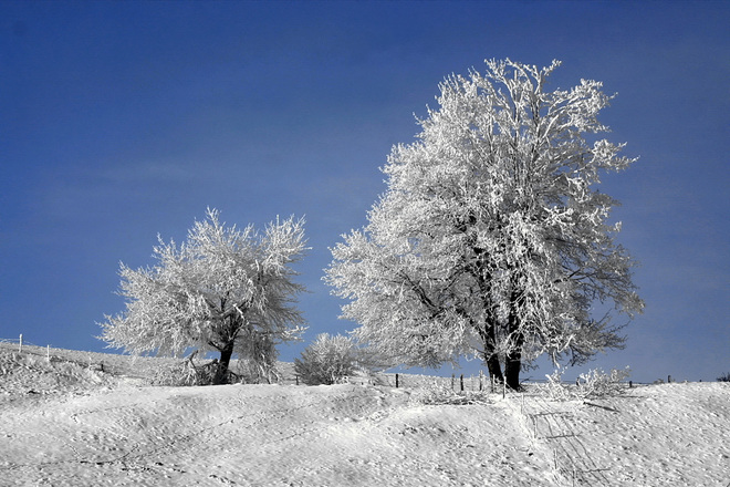 Winterwanderung -Achele Runde