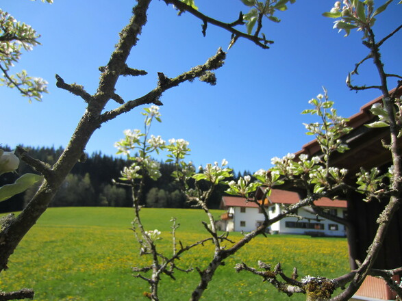 Ferienhof Dürr