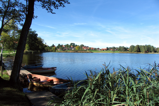Nordic Walking Soier See Trail