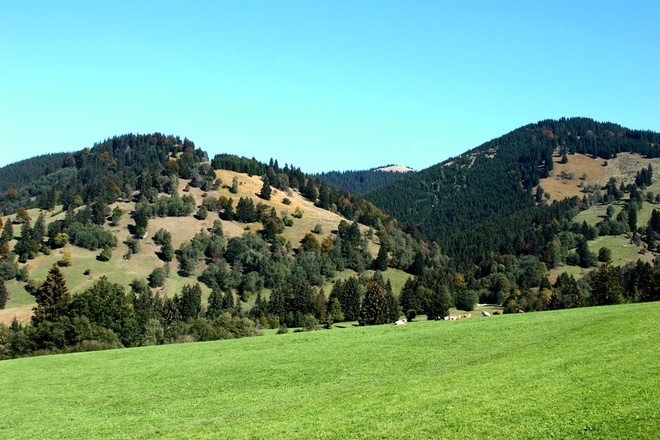 Mountainbiketour Aufacker Runde - Landschaft nach der Abfahrt