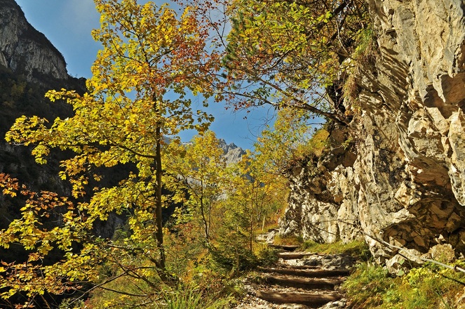 Der Weg zwischen Klammausgang und Angerhütte