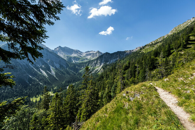 Weitblick über bewaldeten Hang und schmalen Pfad