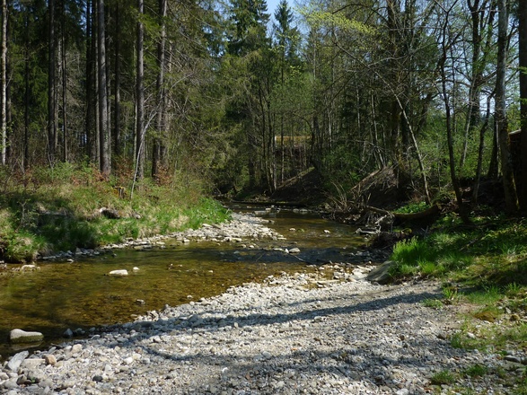 Ferienhof Dürr