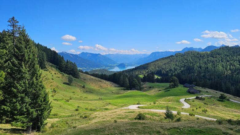 Illingerbergalm