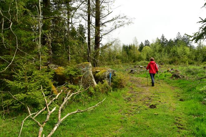 Natur pur - so schön ist der Sagenweg