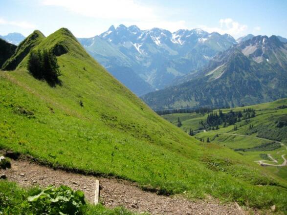Oberstdorfer Berge im Sommer