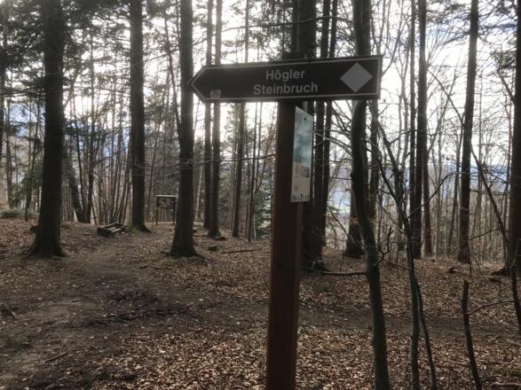 Terrainkurweg am Högl