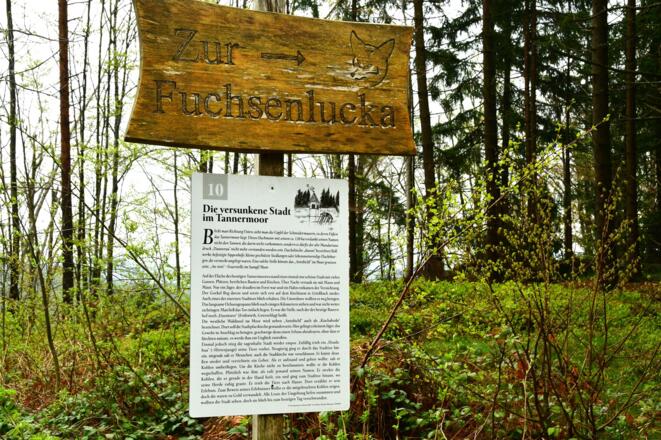 Immer wieder Informationen die neugierig machen