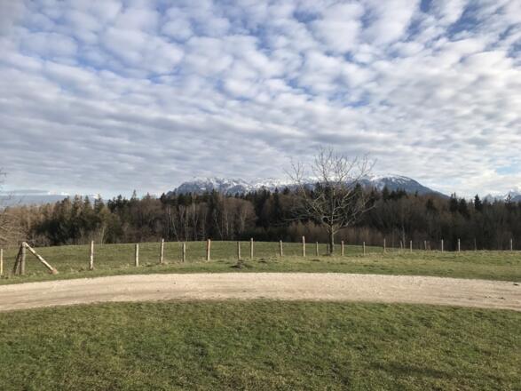 Terrainkurweg am Högl