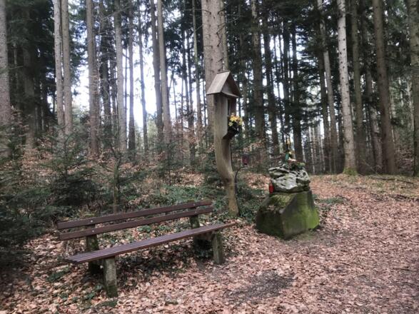 Terrainkurweg am Högl