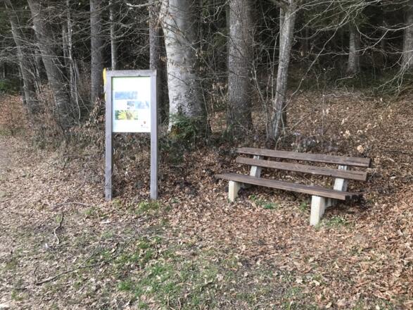 Terrainkurweg am Högl