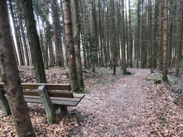 Terrainkurweg Bergblumengarten Piding
