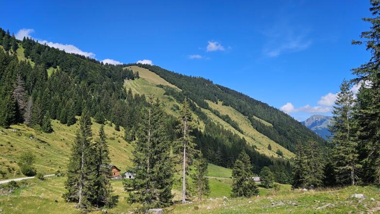 Illingerbergalm
