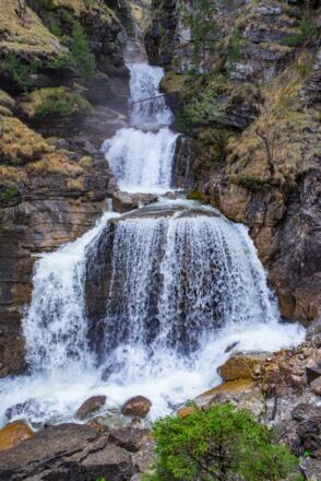 Kuhflucht_05052013-3479.jpg