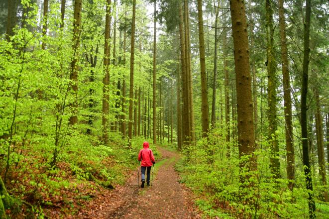 Unterwegs am Sagenweg