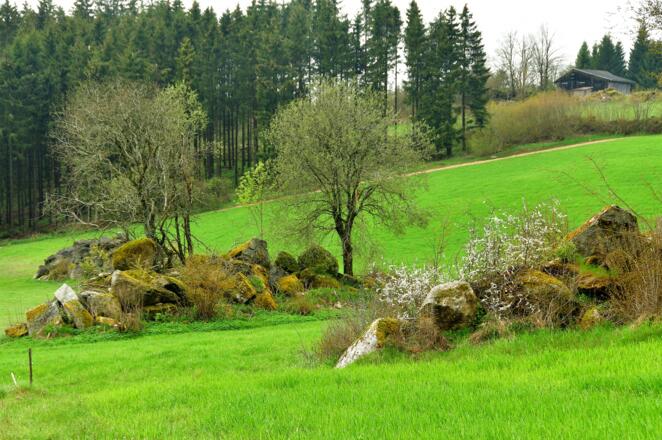 "Steinreiches" Mühlviertel