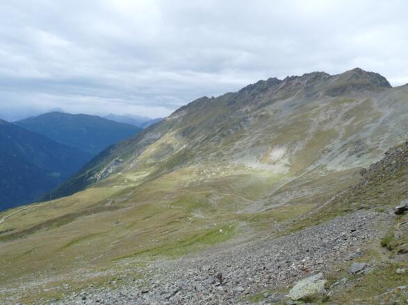 Eine riesig weite Fläche bildet die Westseite mit der Oberlehner Alpe unterhalb des Lehnerjochs.