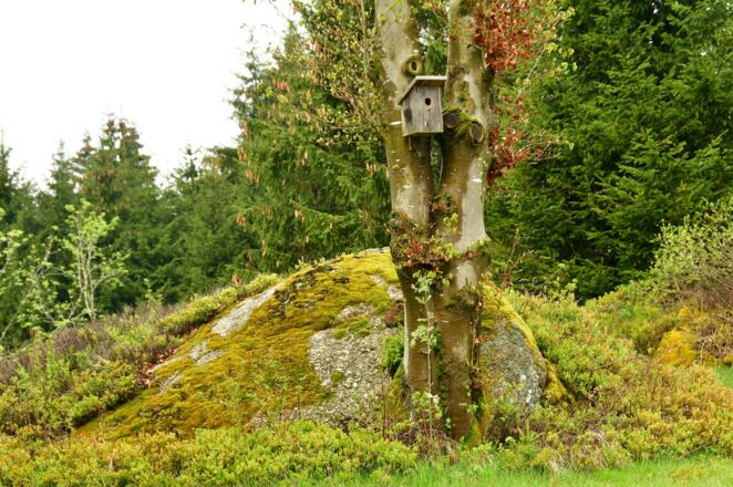 Entlang des Sagenweges gibt es immer interessantes zu sehen