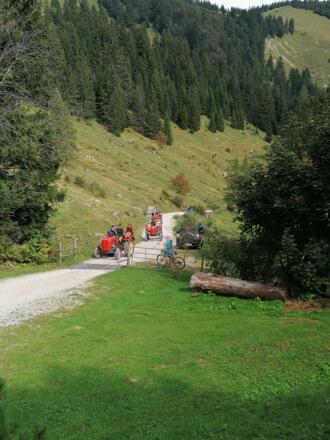 Illingerbergalm