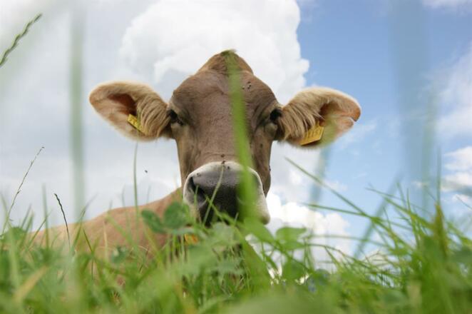 Unsere Tiere hautnah erleben
