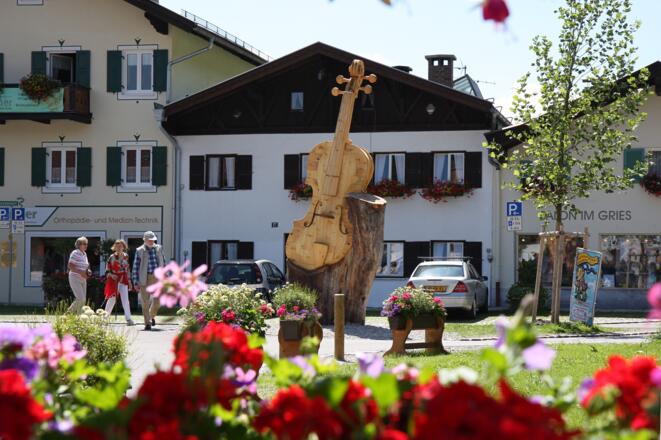 Mittenwalder Geigenbaum