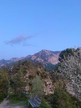 Blick ins wilde Lattengebirge