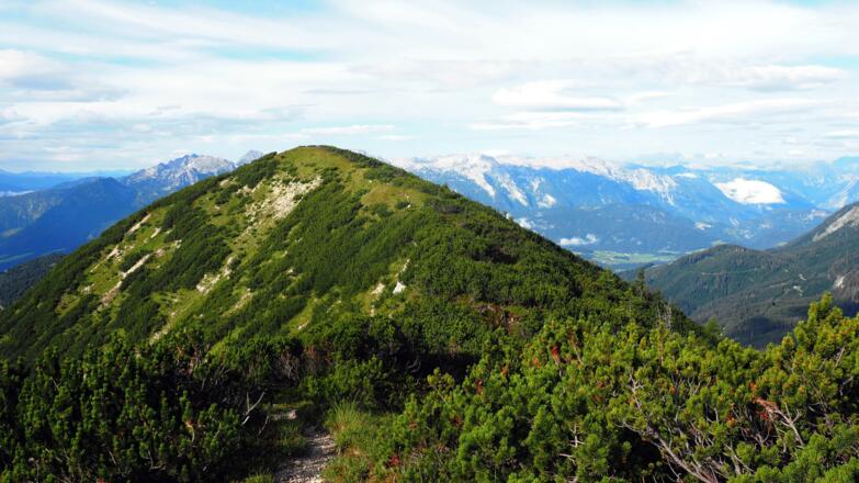 Moosbergriedel 1788m