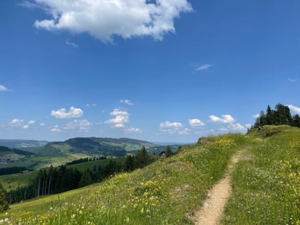 Höhenzug Salmaser Höhe