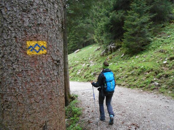 Wemarkierung Riesenalmen