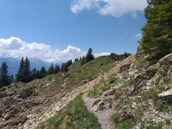 Im leichte Teil des Abstiegs