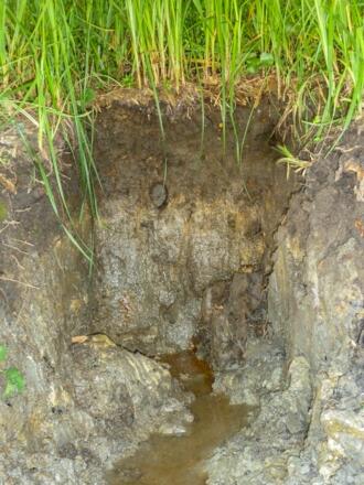 bodenerlebnispfad014