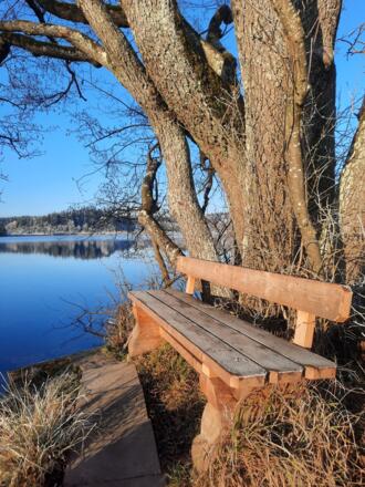 Ruhebank am Hartsee