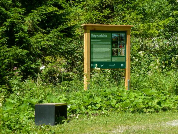 bodenerlebnispfad019