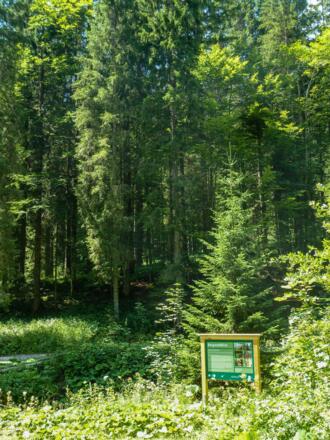 bodenerlebnispfad020