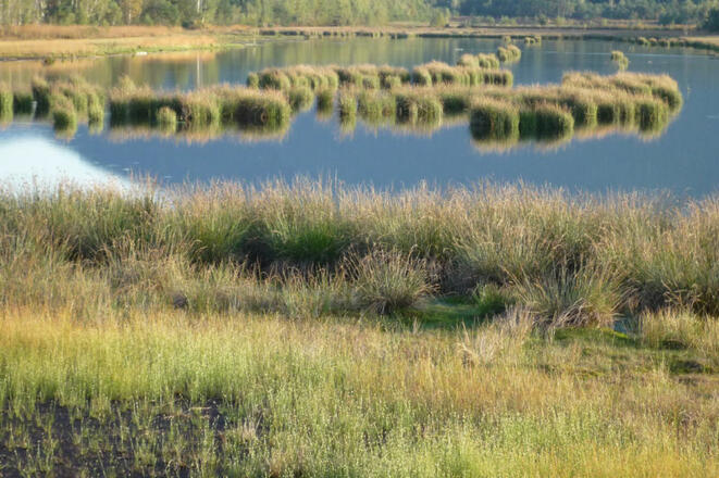 Naturschutzgebiet Seeoner Seen.