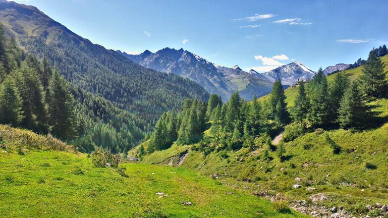 zander bei fliesser alpe