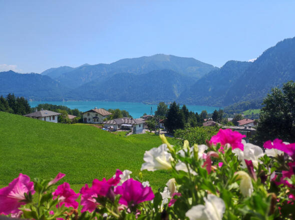 Aussicht Pölzleitner