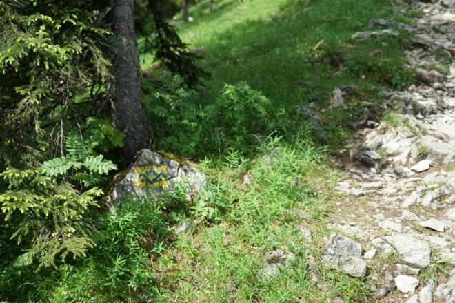 Wegkennzeichnung SalzAlpenTour