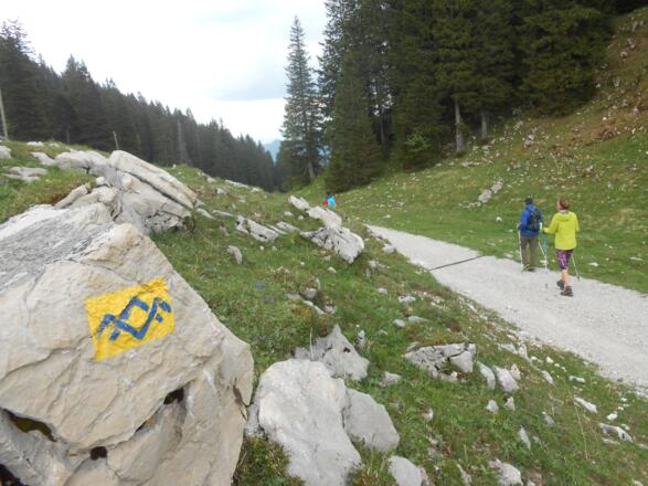 Wegmarkierung Riesenalmen