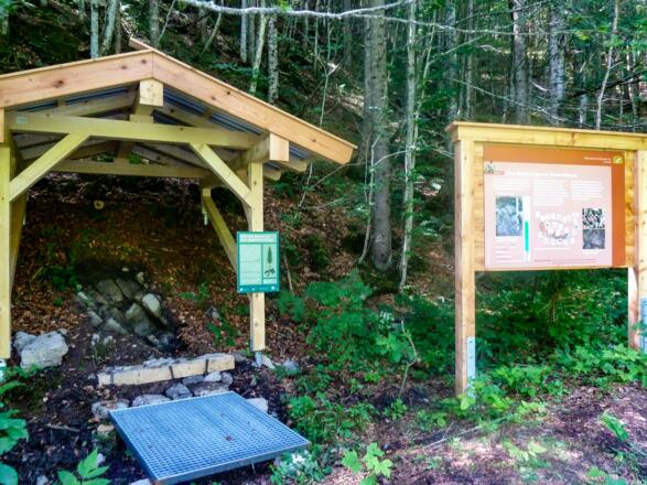 bodenerlebnispfad011