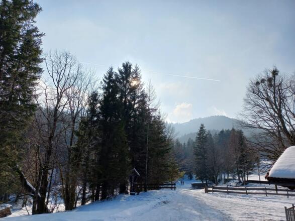 Ausblick von der Schlipfgrubalm im Winter