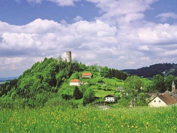 Burgruine Waxenberg