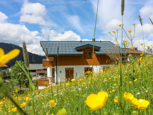 haus_s04