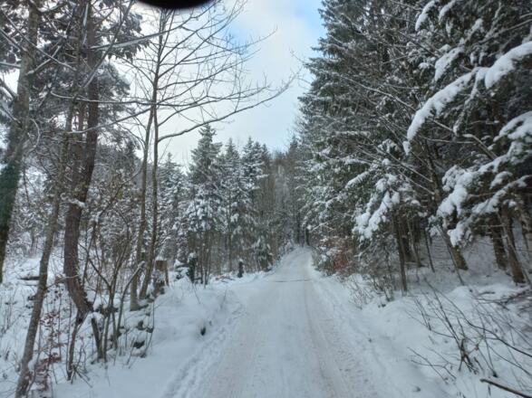 Winterlicher Weg zur Schlipfgrubalm