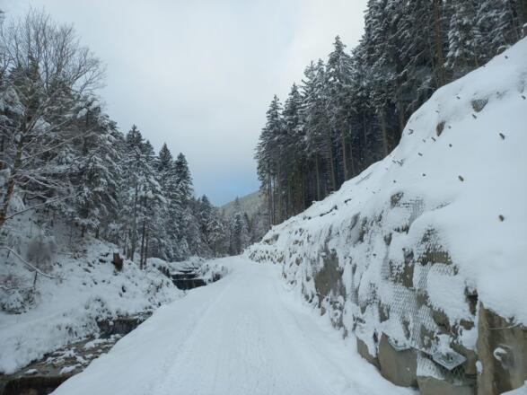 Winterlicher Weg zur Schlipfgrubalm