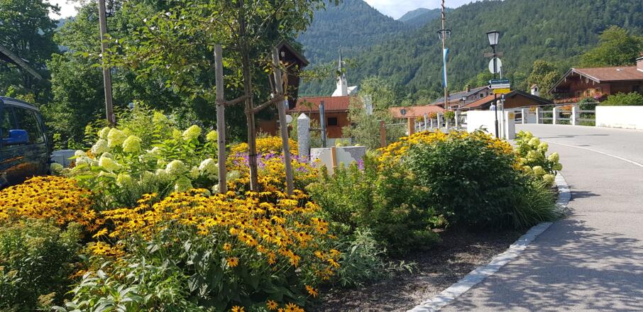 Blühwiese am Trinkbrunnen in Kreuth