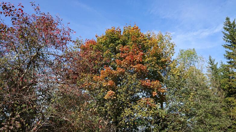 Naturschauspiel_14_1