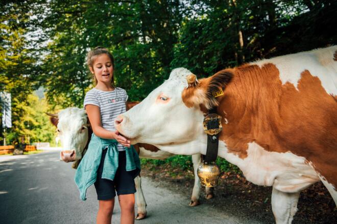 Naturschauspiel_Kreuth_11_5