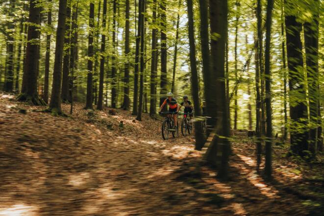 Mountainbiker im Böhmerwald