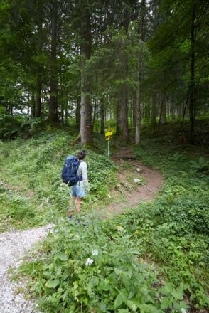 Raum 4